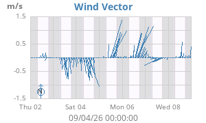 Wind Vector